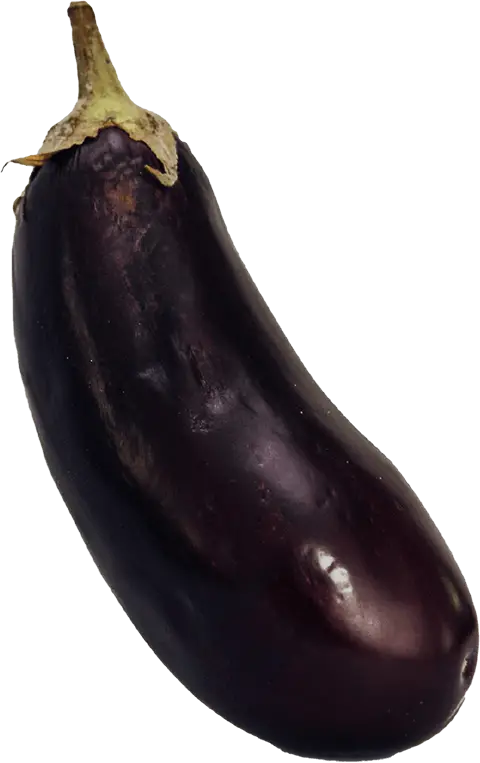 Un aubergine
