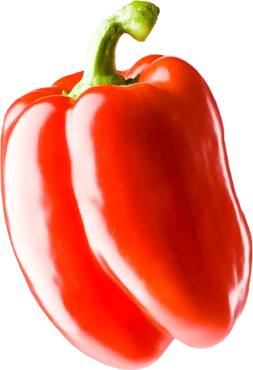 Un poivron